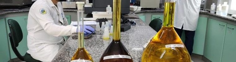 Divulgação - Granol