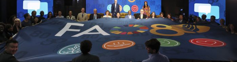 Alessandra Benedetti - FAO