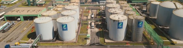 Divulgação - Potenclal