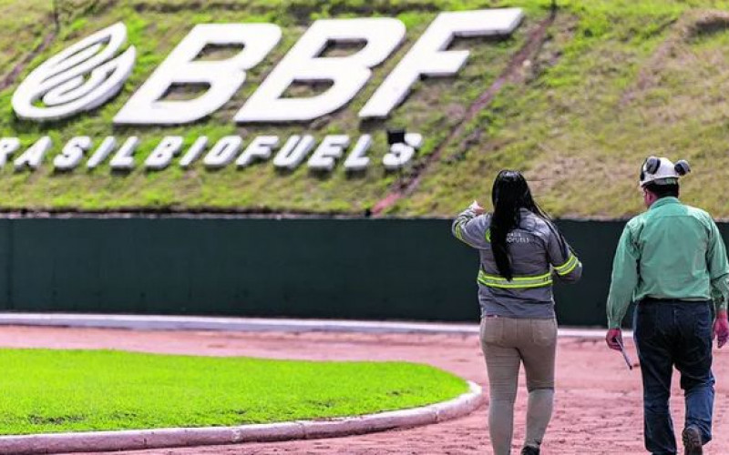 Divulgação - BBF 