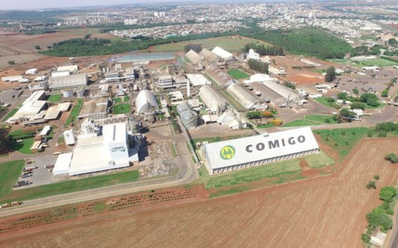 Divulgação - Comigo