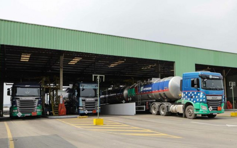 Divulgação - Potencial