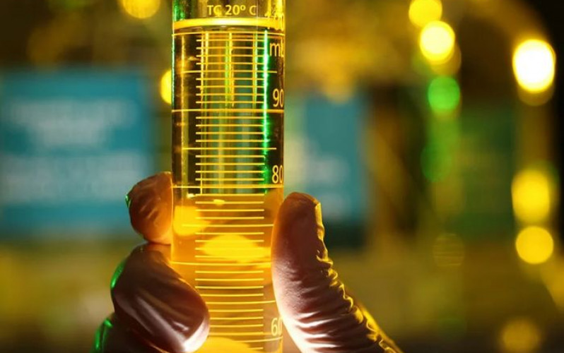 Divulgação - Agência Petrobras