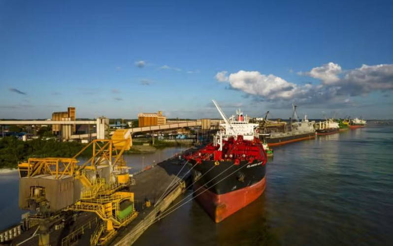 Divulgação - Potto de São Luis