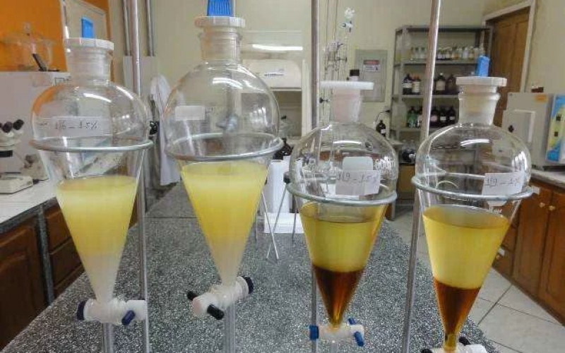 Reprodução - Researchgate