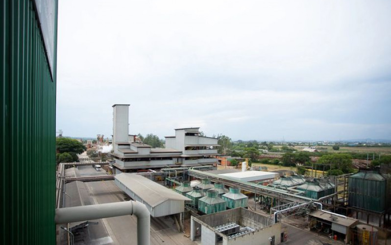 Reprodução - Bianchini 