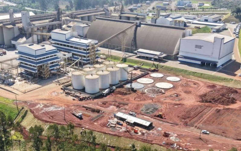 Divulgação - Cooperalfa