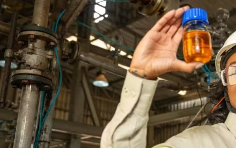 Divulgação - Cargill