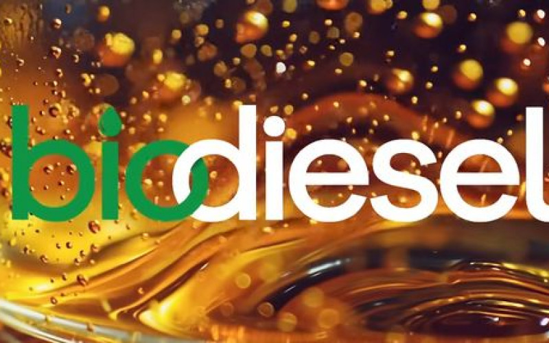 Reprodução - FPBio