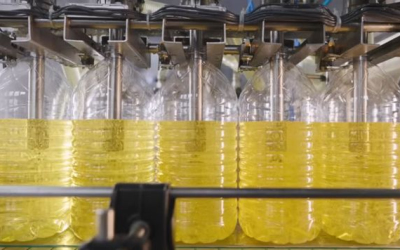 Reprodução - Mundo Fabricado