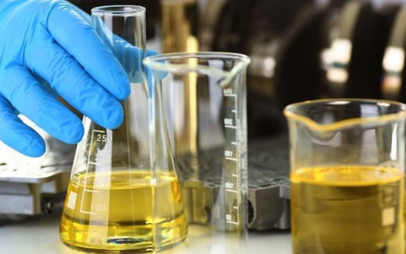 Divulgação - Presidência da República