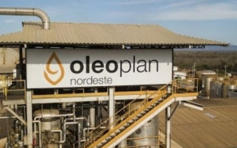 Divulgação - Oleoplan