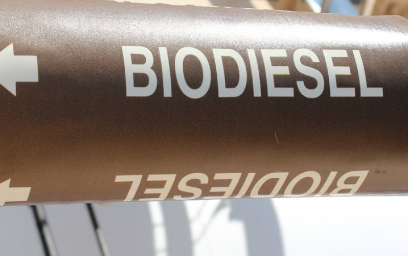Divulgação - United Soybean Board