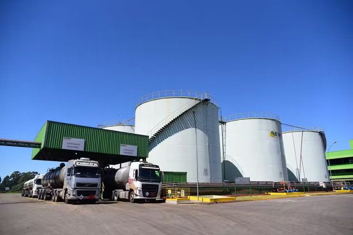 Margens do biodiesel se alargam e setor tem melhor resultado em 12 semanas 