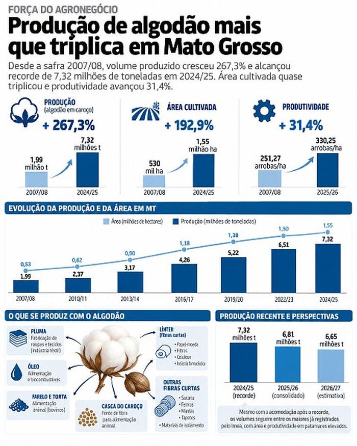 20261009_AlgodaoMT_Grafico.jpg