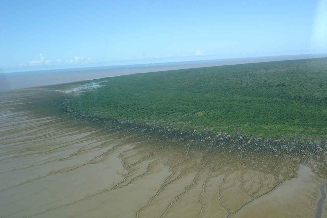 Agro e eleições: O que Flávio Bolsonaro e Lula propõem sobre sustentabilidade